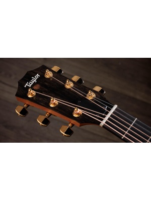 Taylor 224ce-K DLX - Img8