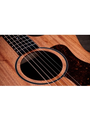 Taylor 24ce - Img5