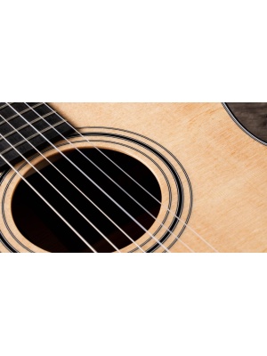 Taylor 314ce-N - Img6