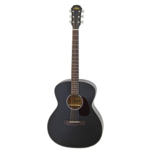 Aria 101 MTBK