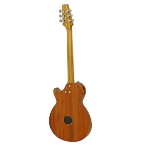 Aria Pro II APE-100 TS – Chitară Electroacustică Pasivă - Img2