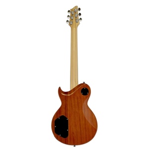 Aria Pro II PE-480 BS Brown Sunburst - Img2