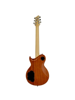 ARIA Pro II PE-480 SEBL - Img2