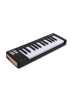 Arturia MicroLab Mk3 Black - Img3
