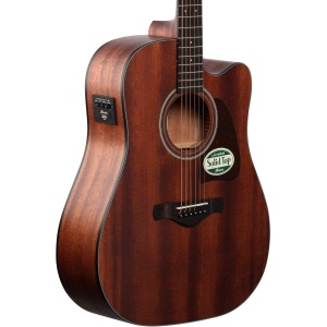 Ibanez AW54CE-OPN Open Pore Natural - Img2