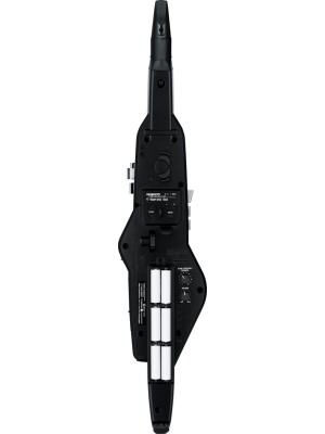 Roland Aerophone AE-20 - Img5