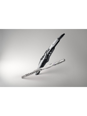Roland Aerophone Brisa - Img9