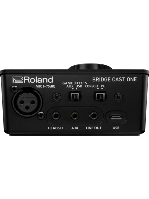 Roland BRIDGE CAST ONE - Img3