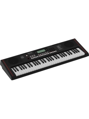 Roland E-X10 - Img4