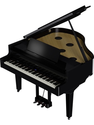 Roland GP‑9M Polished Ebony - Img5