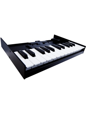 Roland K-25m - Img2