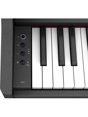 Roland RP107 - Img6