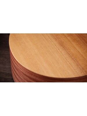 Taylor 14ce - Img3