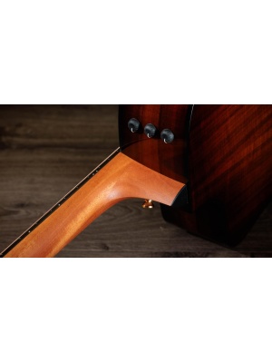 Taylor 224ce-K DLX - Img9