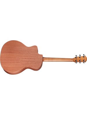 Taylor 24ce - Img2