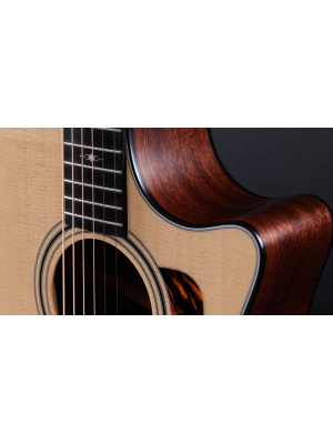 Taylor 314ce - Img3