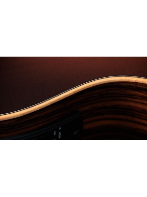 Taylor GS Mini-e Rosewood SB - Img10