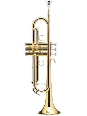 B&S Prodige BS210-1-0 cu husă