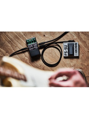 Boss RE-2 Space Echo - Img4