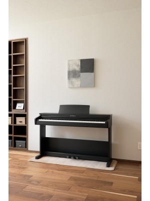 Kawai CX102B - Img7