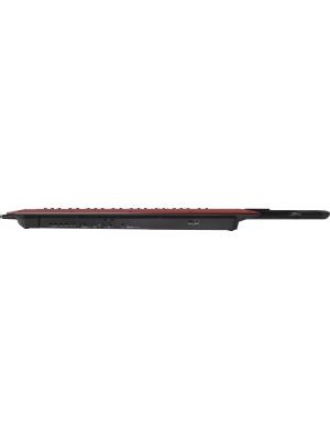 Roland AX-Edge - Img10