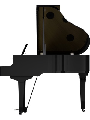 Roland GP‑9M Polished Ebony - Img16