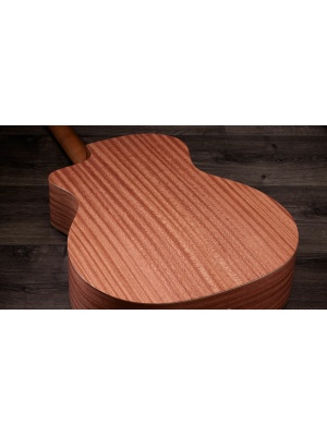 Taylor 14ce - Img10