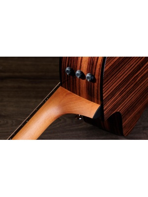 Taylor 214ce Plus - Img9