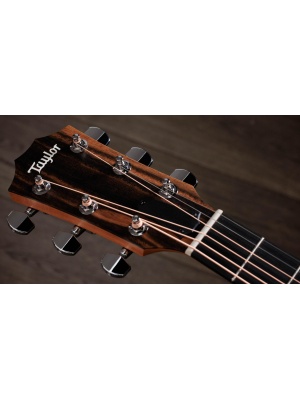 Taylor 214ce - Img8