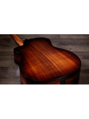 Taylor 224ce-K DLX - Img10
