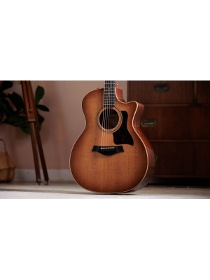 Taylor 314ce Studio SEB - Img8