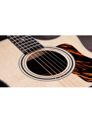 Taylor 314ce - Img4
