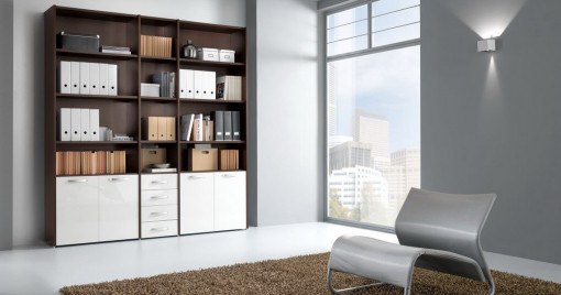 Biblioteca office