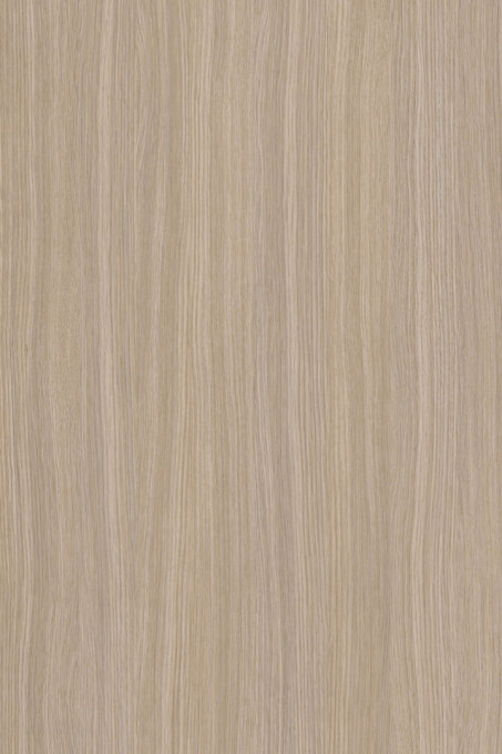 Stejar Ferrara 8921