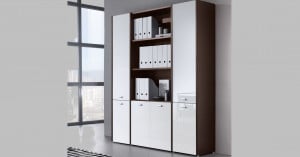 Biblioteca manager Fantazia
