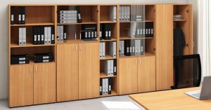 Biblioteca office arin