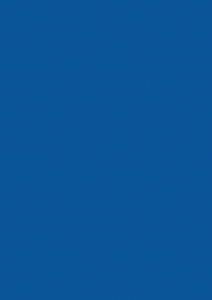 BLEUMARIN U525 ST15