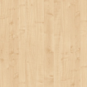 Paltin 375