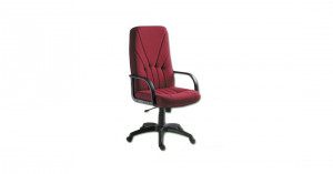 Scaun manager 5500