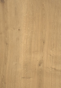 STEJAR ARLINGTON NATUR H3303 ST10
