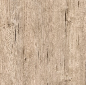 Stejar Sherwood A865 PS19