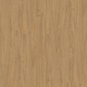 Stejar Piatra 5527