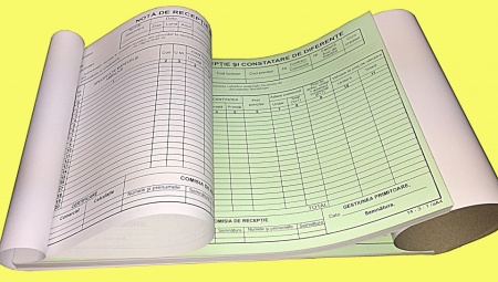 Nota de receptie si constatare diferente, NIR autocopiativ, a-n, A4, 50 set x 2 ex. - Img 4