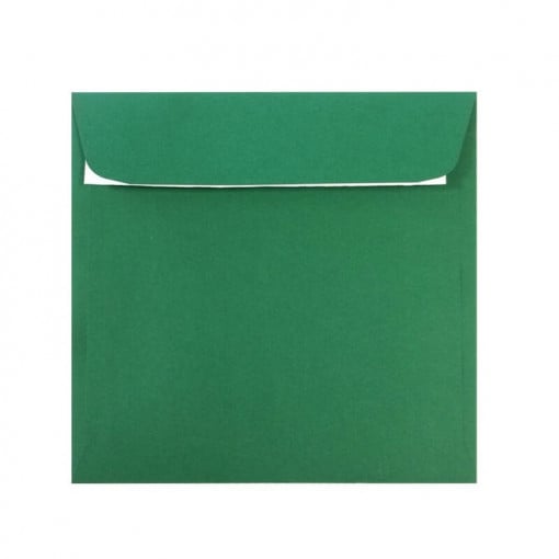 Plic color verde (160 x160 mm)