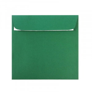 Plic color verde (140 x140 mm)