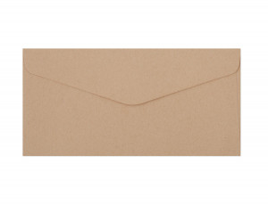 Plic DL (110*220mm) decorativ bej inchis Natura