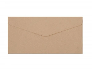 Plic DL (110*220mm) decorativ bej inchis Natura