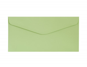 Plic DL (110*220mm) decorativ color verde deschis Smooth