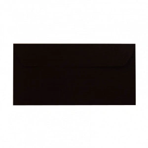 Plic color negru DL (110 x 220 mm)