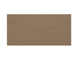Plic DL (110*220mm) decorativ color bej inchis Kraft